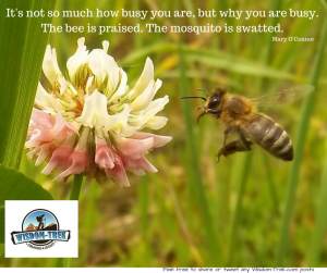 It's not so much how busy you are, but why you are busy. The bee is praised. The mosquito is swatted.     
